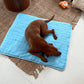 🔥🐶2026 Summer Hot Sale 49% OFF🧊Pet Cooling Ice Silk Mat – Summer Cooling Pet Bed Pad for Dogs and Cats, Breathable Washable Sleeping Cushion for Indoor and Outdoor Use, Lightweight Cooling Crate and Sofa Pet Mat