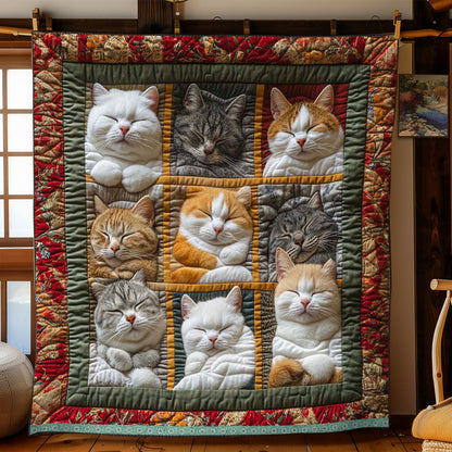 🏆Christmas Pre Sale 49% OFF - 🎉🎉Sleeping Royal Cat blanket
