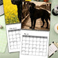 🐕‍🦺2027 Cute Black Labs Calendar