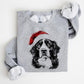 💖CHRISTMAS SPECIAL PRICE: ￡10.99!!🎁Santa Paws Christmas Dog Sweatshirt🐶