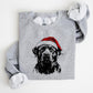 💖CHRISTMAS SPECIAL PRICE: ￡10.99!!🎁Santa Paws Christmas Dog Sweatshirt🐶