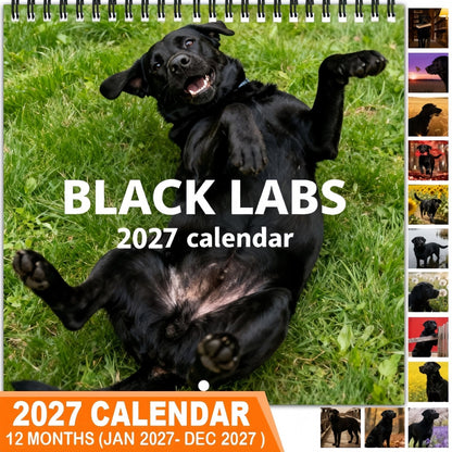 🐕‍🦺2027 Cute Black Labs Calendar