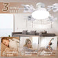 🏆LAST DAY SALE 50% OFF🎉💥Remote-Controlled LED Ceiling Fan Light