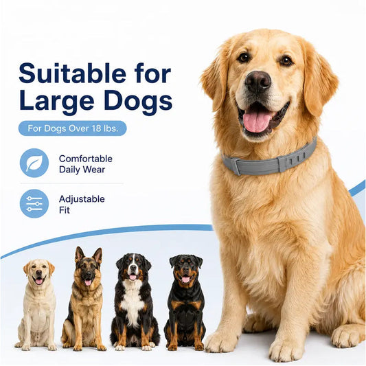 🏆 Last Day Special Price £7.99! ⏰Adjustable Flea & Tick Collars for Dogs & Cats