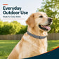 🏆 Last Day Special Price £7.99! ⏰Adjustable Flea & Tick Collars for Dogs & Cats