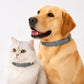 🏆 Last Day Special Price £7.99! ⏰Adjustable Flea & Tick Collars for Dogs & Cats