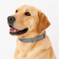 🏆 Last Day Special Price £7.99! ⏰Adjustable Flea & Tick Collars for Dogs & Cats