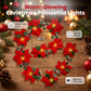 🎁🎄Christmas Sale 49% OFF!😍 Poinsettia Flower String Lights – 2M Warm LED Garland with Red Flowers & Holly Leaves– USB Plug Version